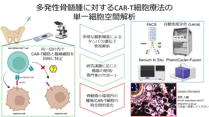 CAR-T　MM研究